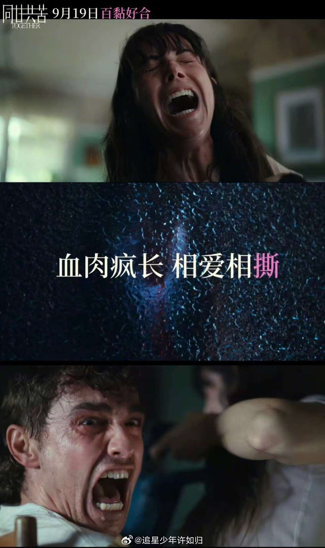 第一次对电影审查开放有了实感 烂番茄开局100%新鲜认证的同甘共苦要上映啦，猎奇
