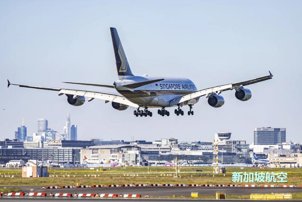 新加坡航空：2026年度最佳航空公司。

这是由航空评估机构Skytrax公布的