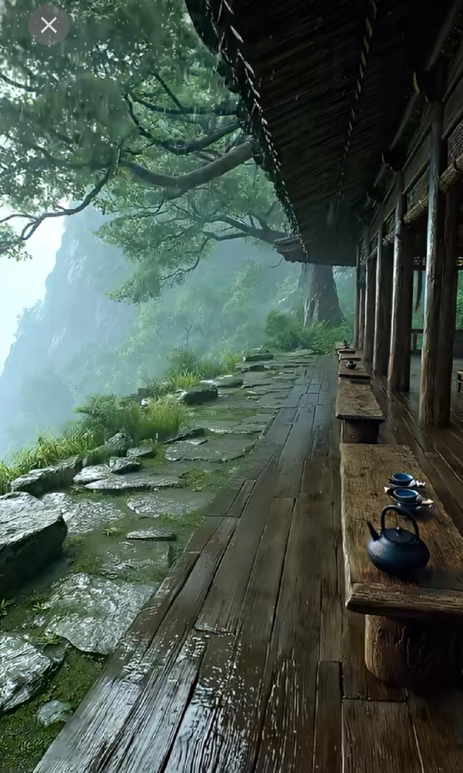 在雨中的木廊，喝茶赏景真惬意。