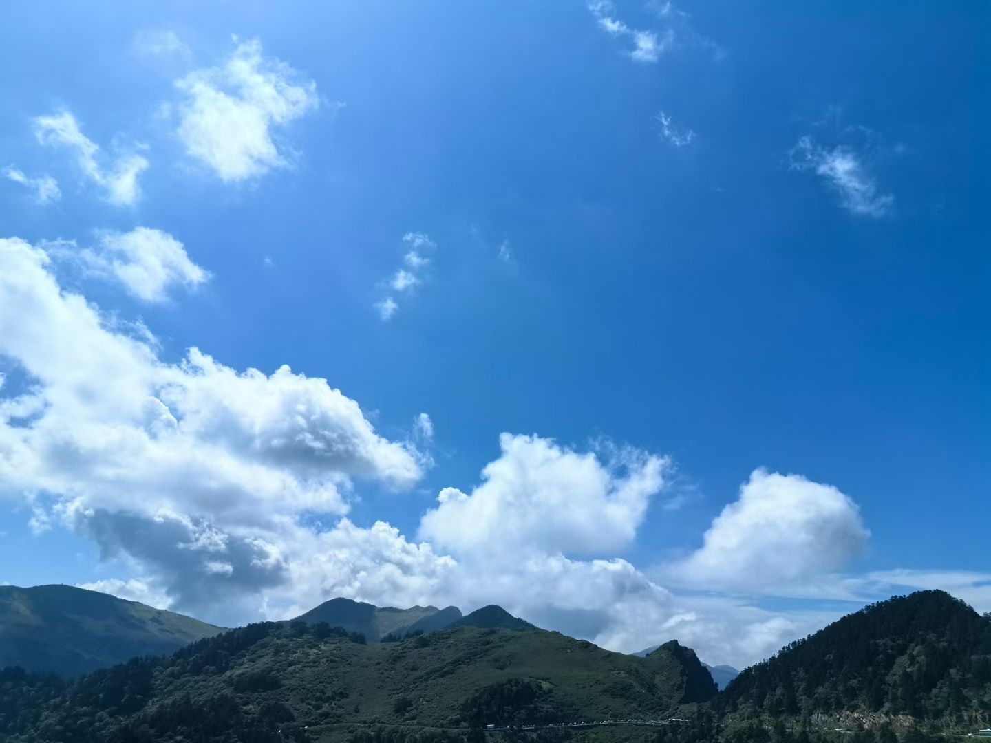 在这个满地都是套路的世界里，诚意这两个字显得尤为的珍贵。现在的人啊，都在试探，都