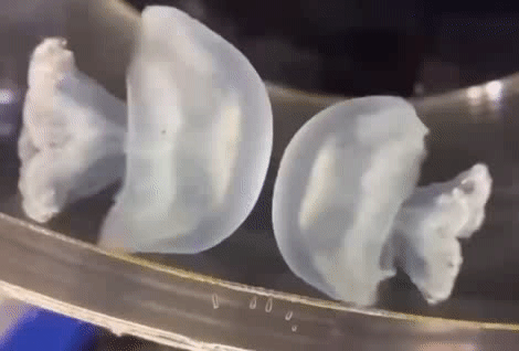 这是在交流么