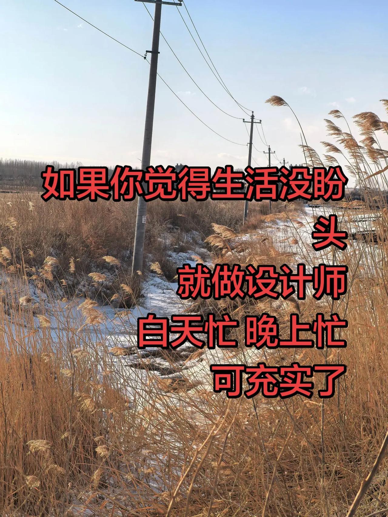 行业内卷越来越重 创作者中心 创作灵感 设计师