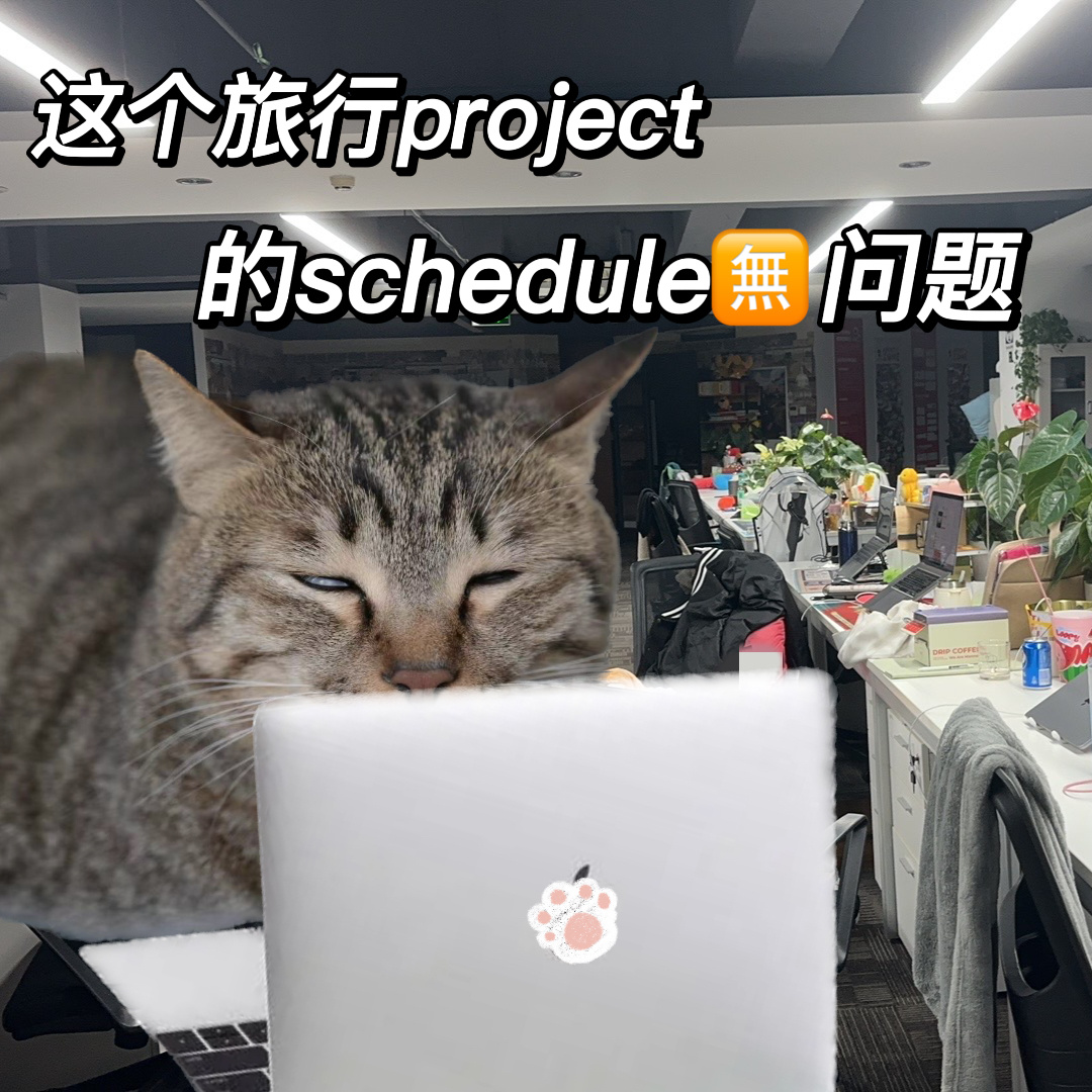 #特种兵旅行后又现炊事班旅行# 我这个旅行project的schedule已经没