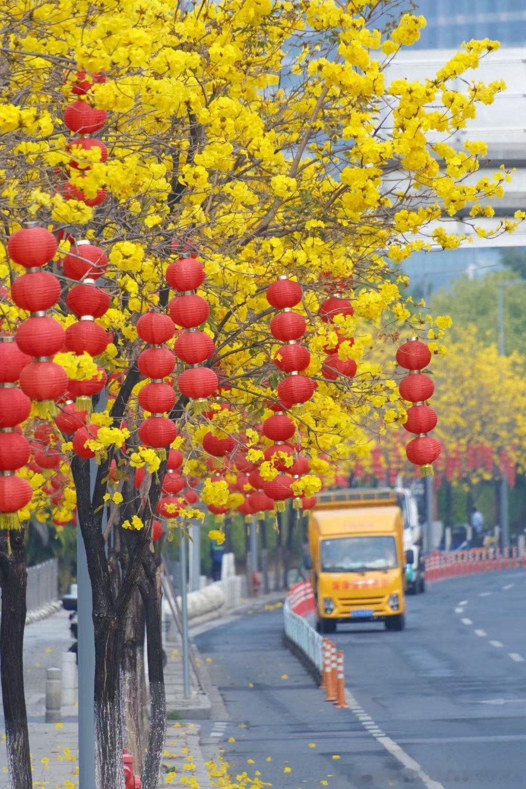 诗在远方，生活在眼前。收心归位，努力搞钱，我爱上班，开工大吉！开工大吉