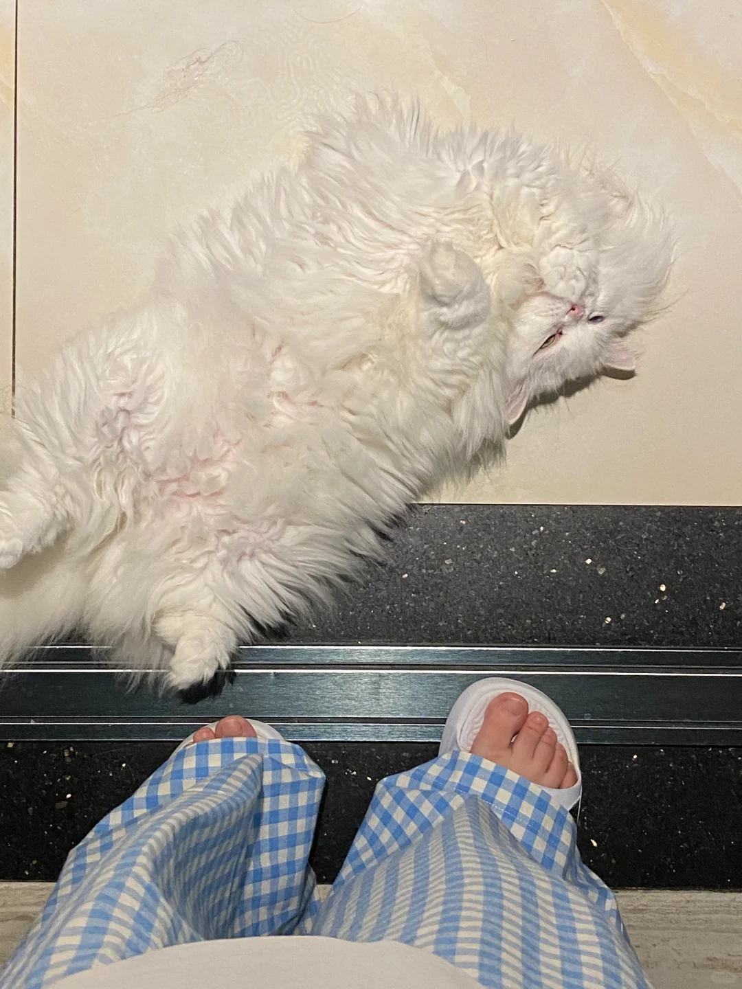 每天都要吸人气