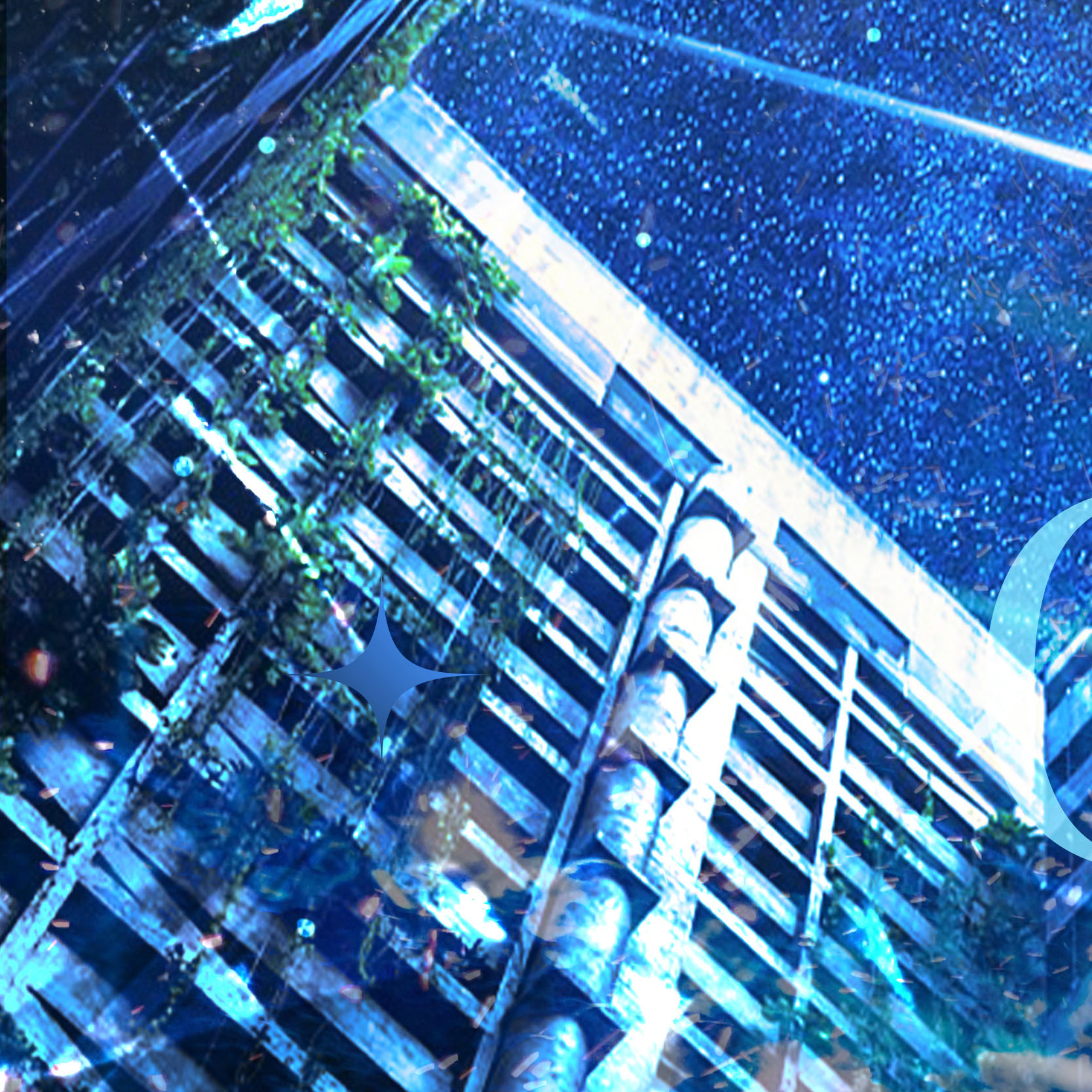 angelababy🌃angelababy三拾澄明七堇新荔          