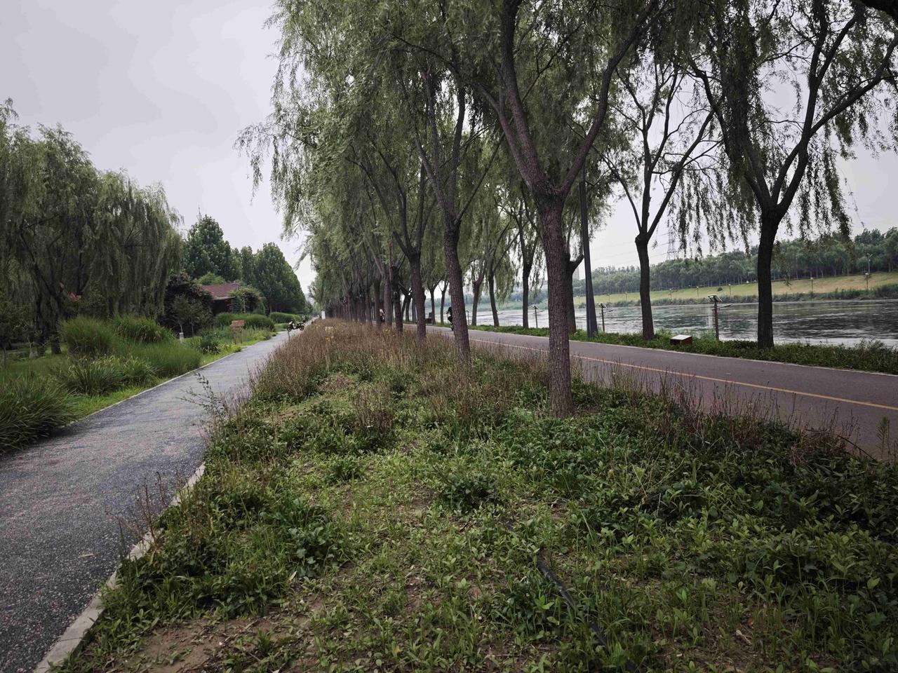 我的今日状态：💰期待暴富
我这里的天气：🌤️多云