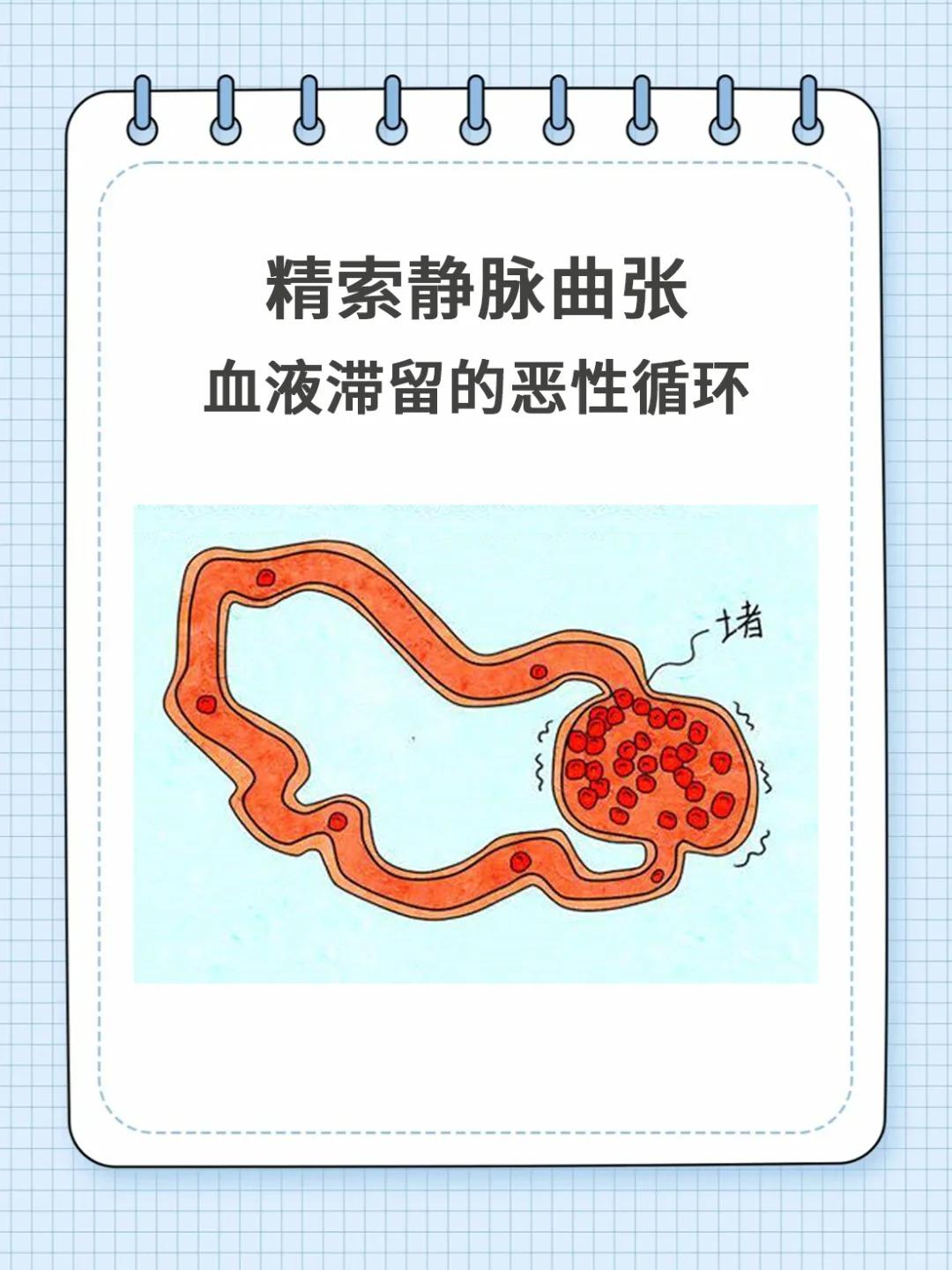 【你的蛋蛋正在