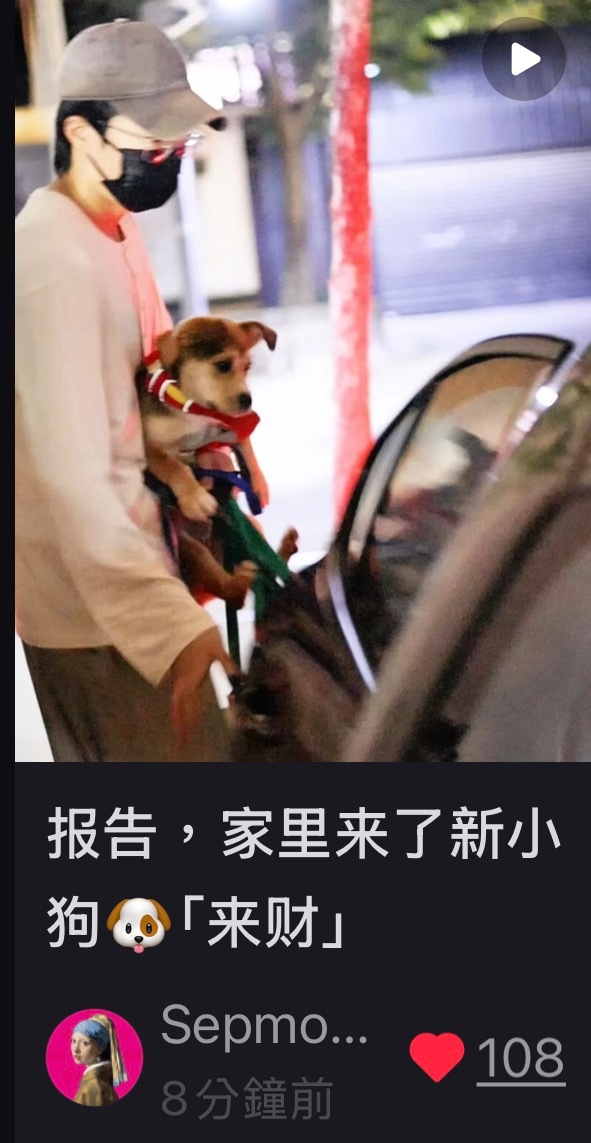 小哥哥真的很喜欢捡小动物回家 