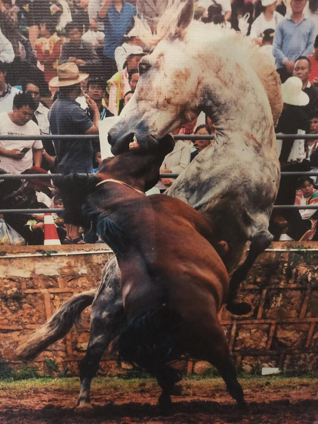 这还是小时候经常见到的一幕了
现在见到还真是难得一见了
见到这种场面的都是些大哥