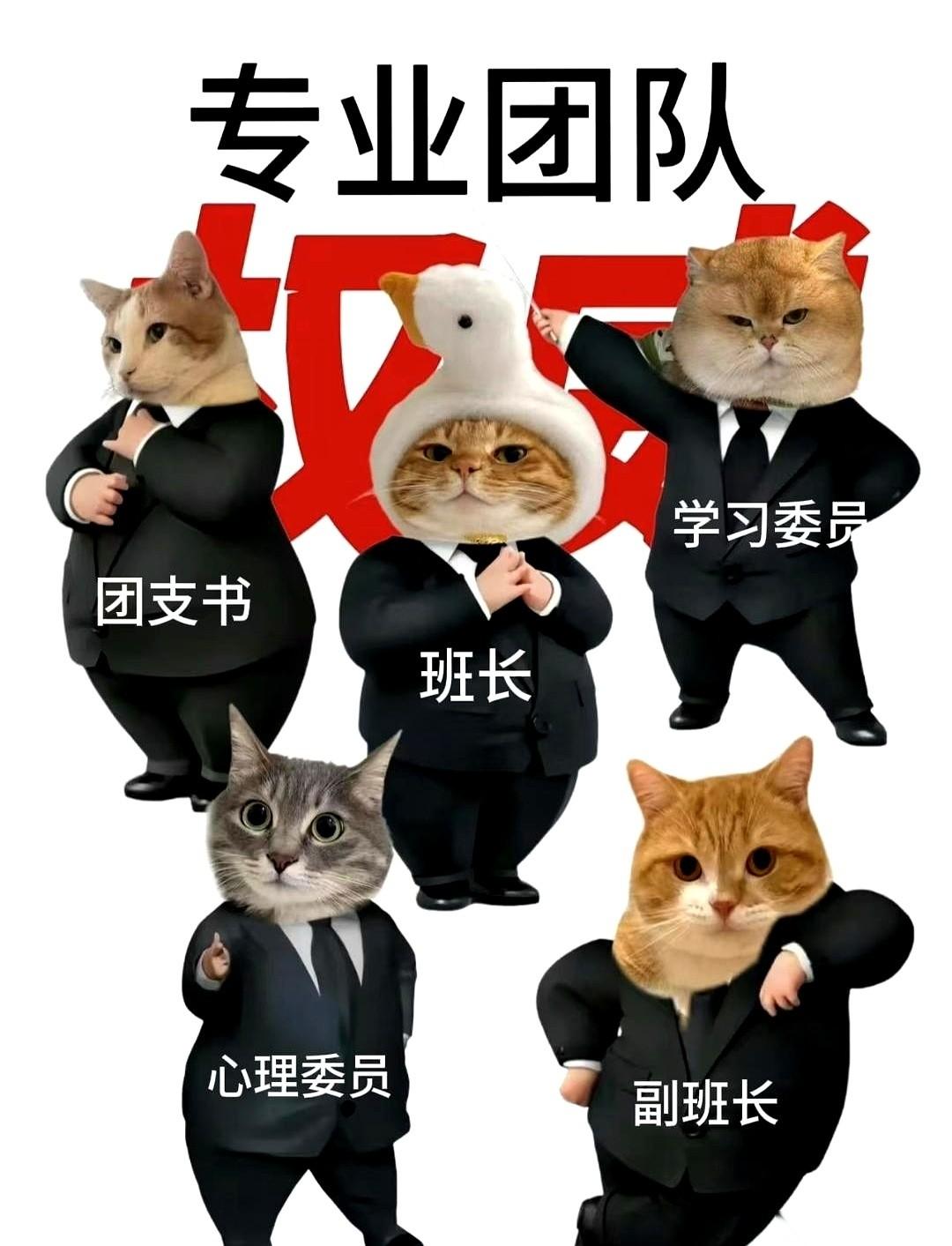 别抢了，真别抢了！
看着新生群里为了个“班长”头衔撕得面红耳赤，我真想顺着网线冲