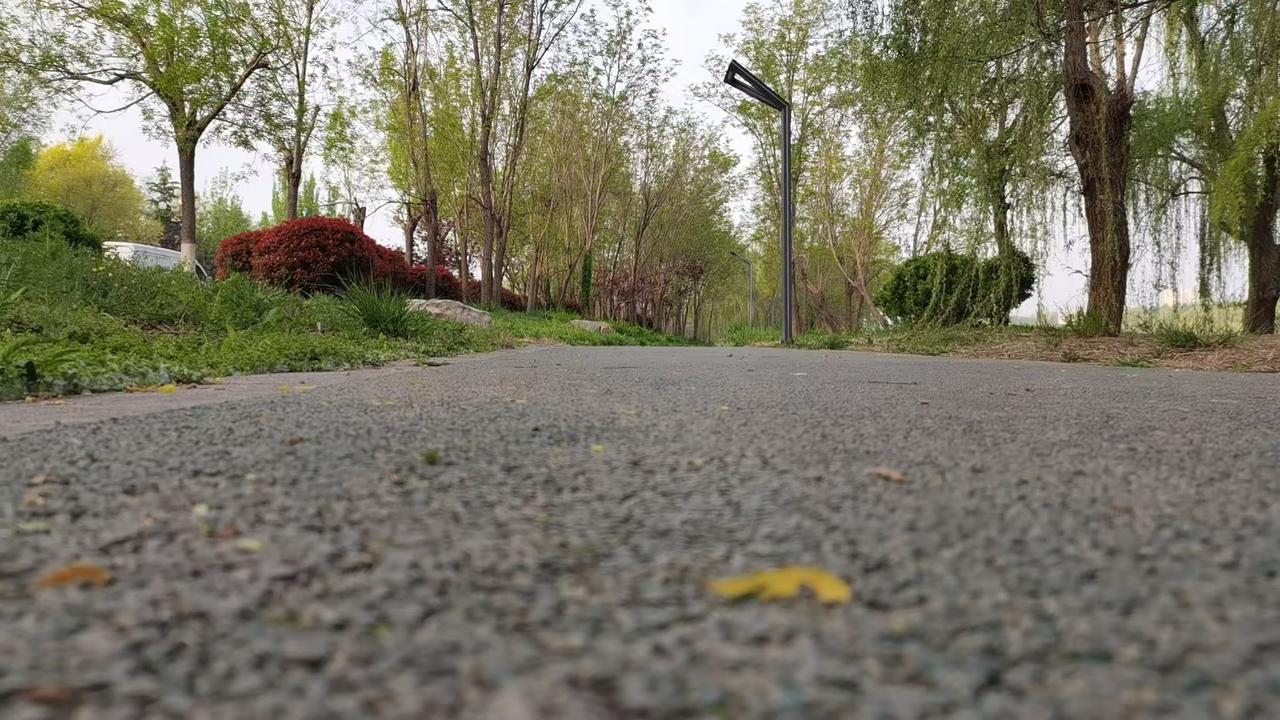 和形意拳高手交手，
基本上一交手就被摔得头昏脑涨，
心气直接掉一半，
为啥？
就