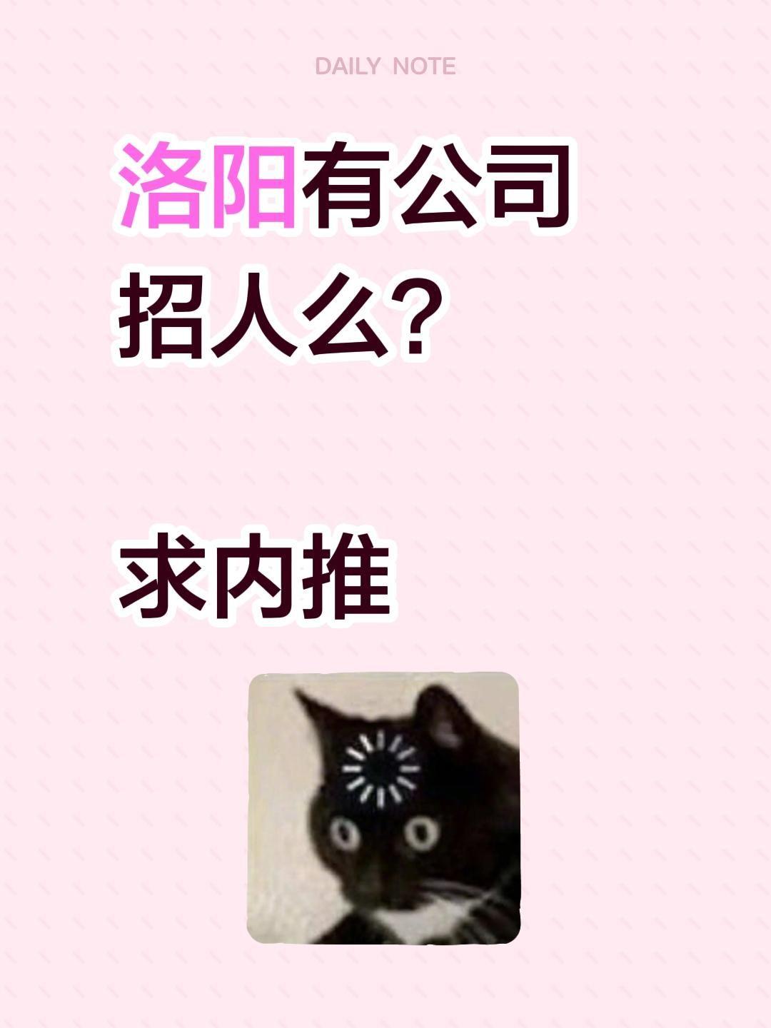 洛阳有公司招人么？ 求内推