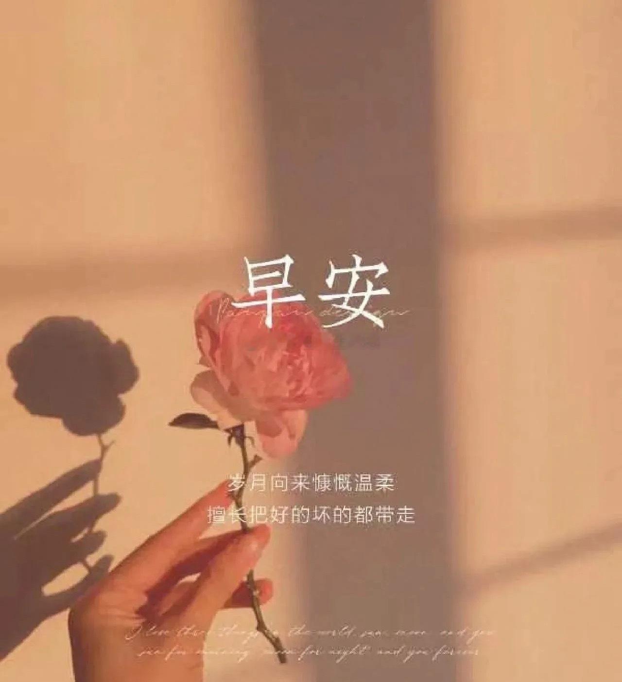 人不能一直做正确的选择偶尔也要做一些喜欢的选择    人不一定要往高处走 也可以