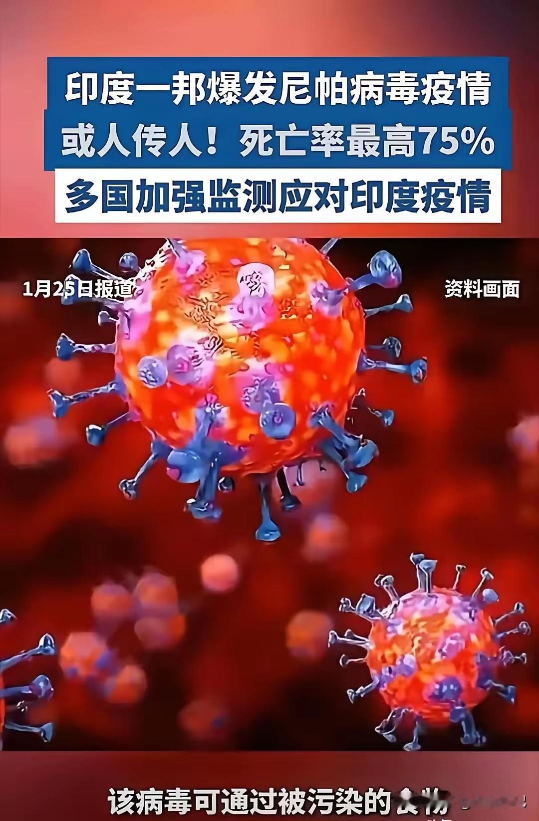 刚在新闻里看到个吓人的事儿！

印度那边又暴发新疫情了，叫啥“尼帕病毒”，听着就