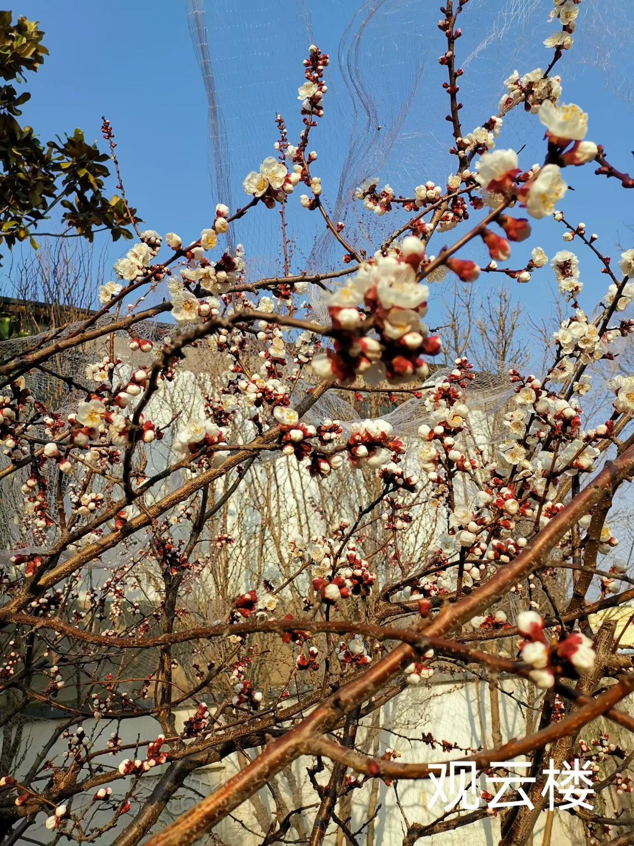 与君相对坐，旧事不敢言。
​话未从口出，泪已湿衣衫。
​东望水茫茫，孤岛小渔船。