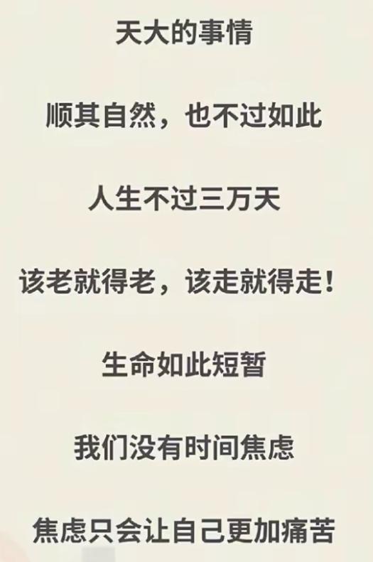 一种很虚的叫做精神满足的幸福感吧，现在人其实幸福指数并不高，虽然说不愁吃穿，不像