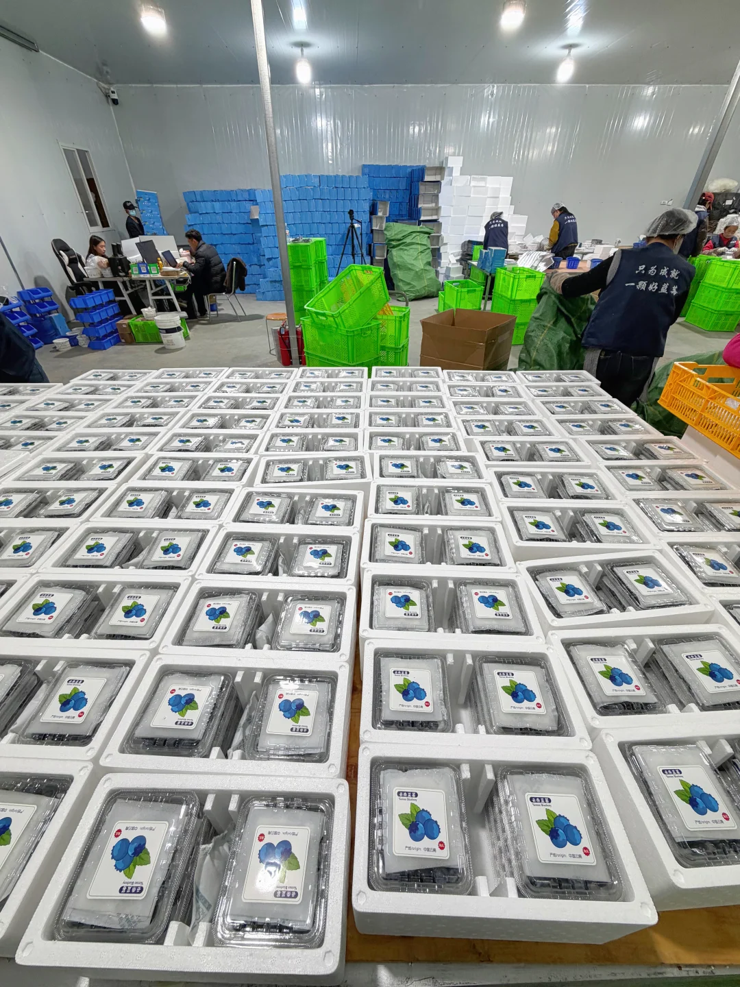 一降到10来💰一盒，仓库一下炸开了，订单爆满