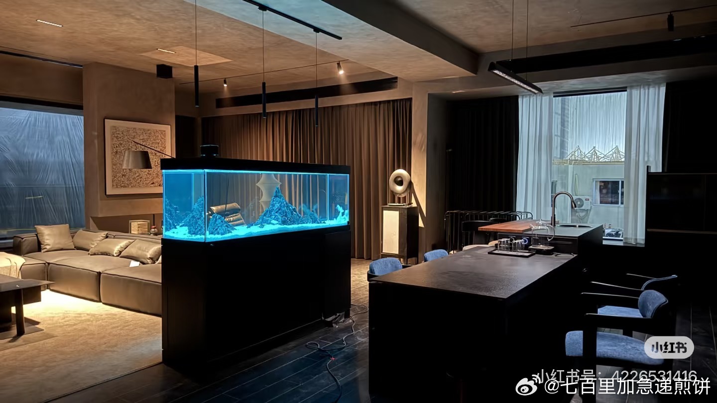 早春晴朗几乎都是棚景拍摄吗，那效果还挺不错的，luke的家、机场居然都是 