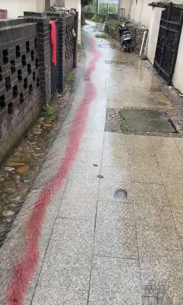 小图我以为咋了，点开大图我笑了很久。 