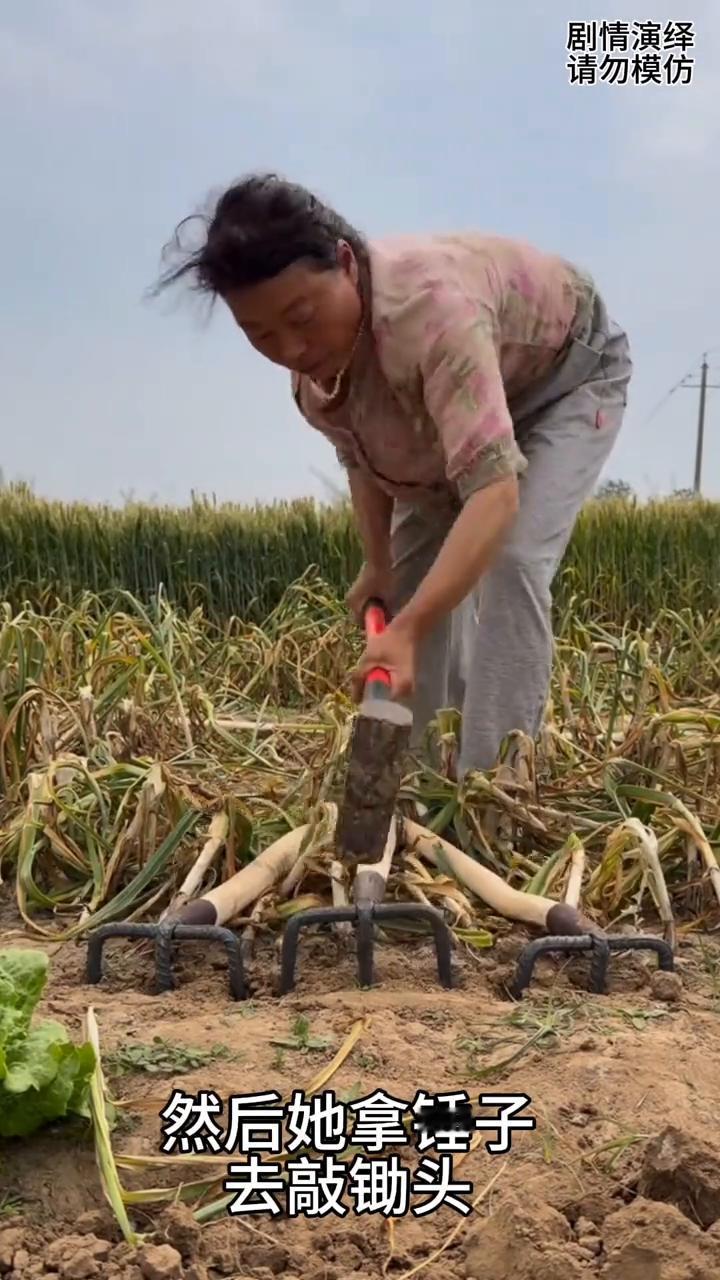 女子在地里干农活，只见她拿着自制的锄头去刨地，然后她拿锤子去敲锄头。就这样三个锄