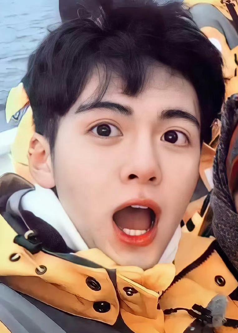 补药放过曾舜晞这只‘陌生小狗’啊🥺 ​​​