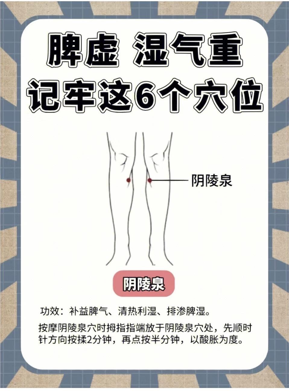 脾虚，湿气重，牢记这六个穴位##中医养生 #医学科普 #穴位