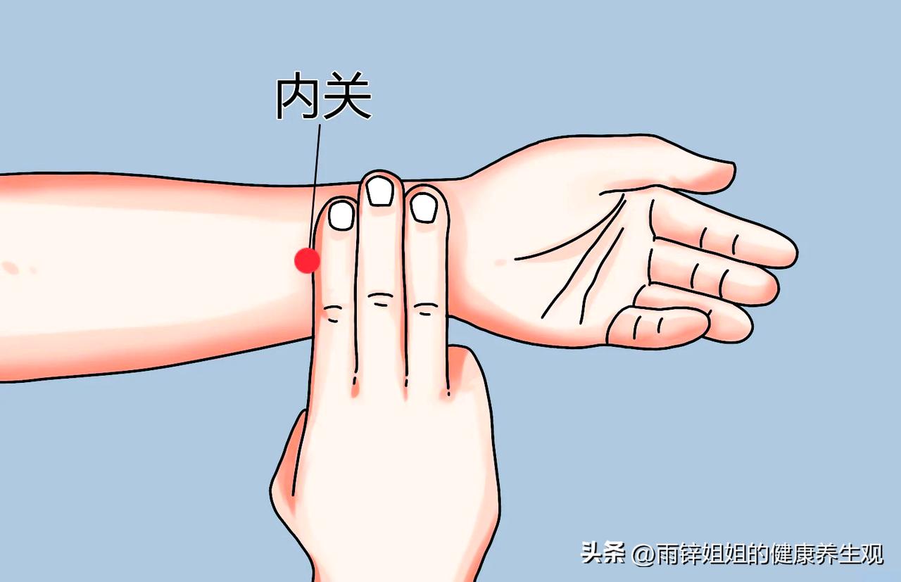 夏季心慌气短怎么办？这味中成药是“护心符”！

各位朋友们好，我是雨锌姐姐。最近