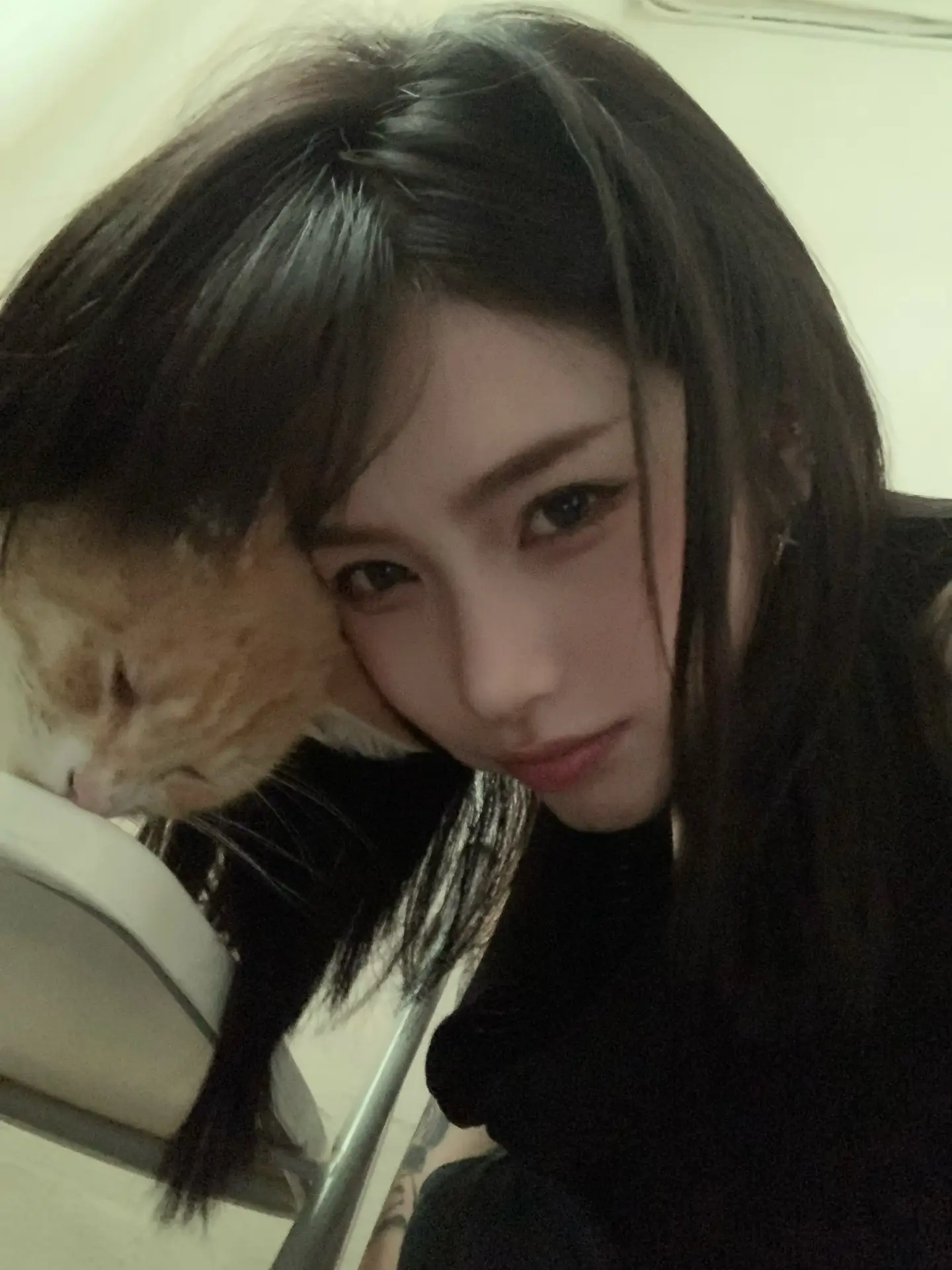 猫儿这个萌