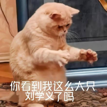 我发现每次发这张后我哥都会有新物料哈哈哈哈哈 