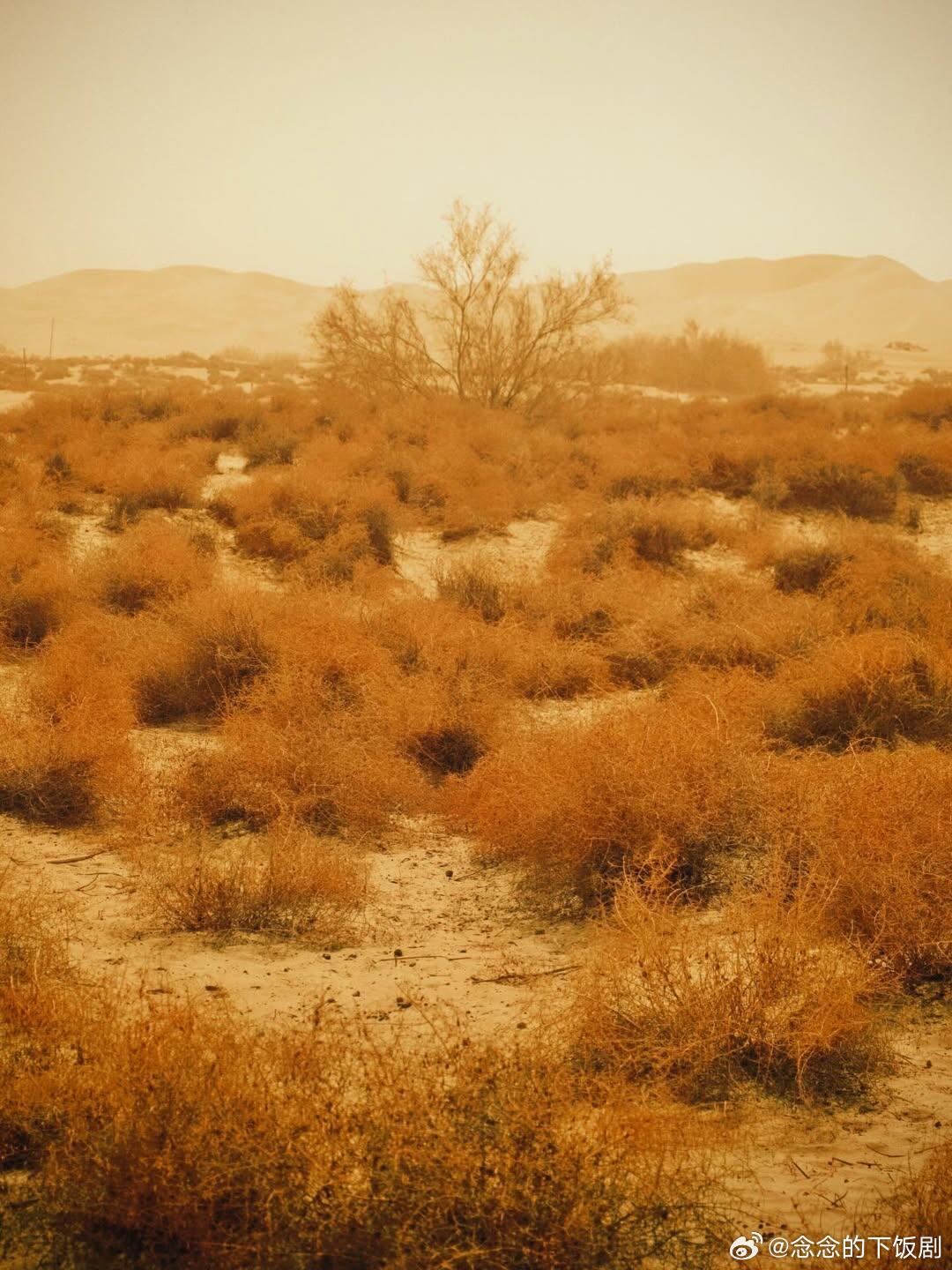 十个勤天李导又发力了 期待以后李导用他这超绝审美拍出的电影李昊‖十个勤天‖种地吧