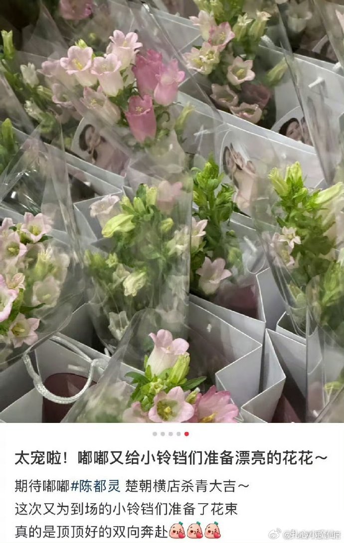 陈都灵逆应援，杀青为到场的粉丝准备了花束[期待] ​​​