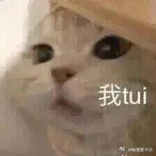 男子同时交往7个白富美骗了数百万这男的纯时间管理大师来的，手段也是真的厉害，纯贬