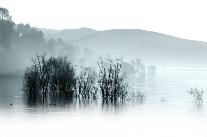 悲观者称半杯水为半空，乐观者称半杯水为半满，我享受现在半满的生活。—— 张爱玲 