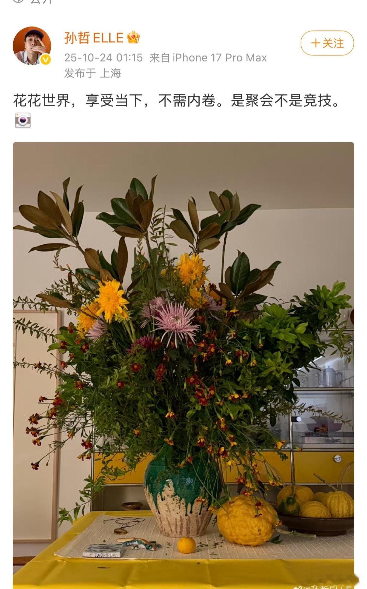 elle主编是聚会不是竞技elle主编不需内卷是聚会不是竞技elle主编发文，不