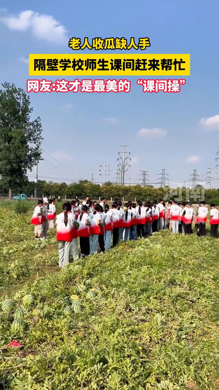 老人收瓜缺人手，隔壁学校师生课间赶来帮忙。网友：这才是最美的"课间操"。
6月1