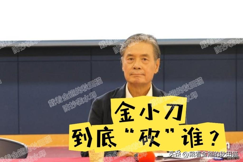 “金小刀”到底想砍谁？
金溥聪本是对着萧旭岑去的，为何砍着砍着，却貌似砍向了老长