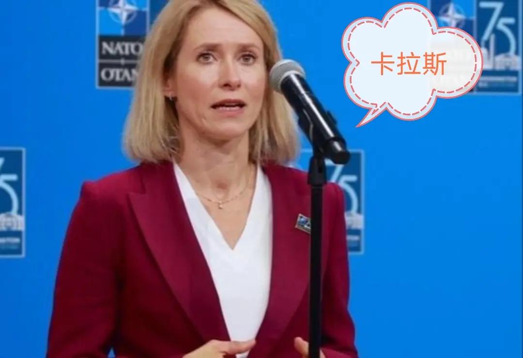 卡拉斯又大放厥词扯上“中国威胁论”！

当地时间2月3日，欧盟外长卡拉斯在出席挪