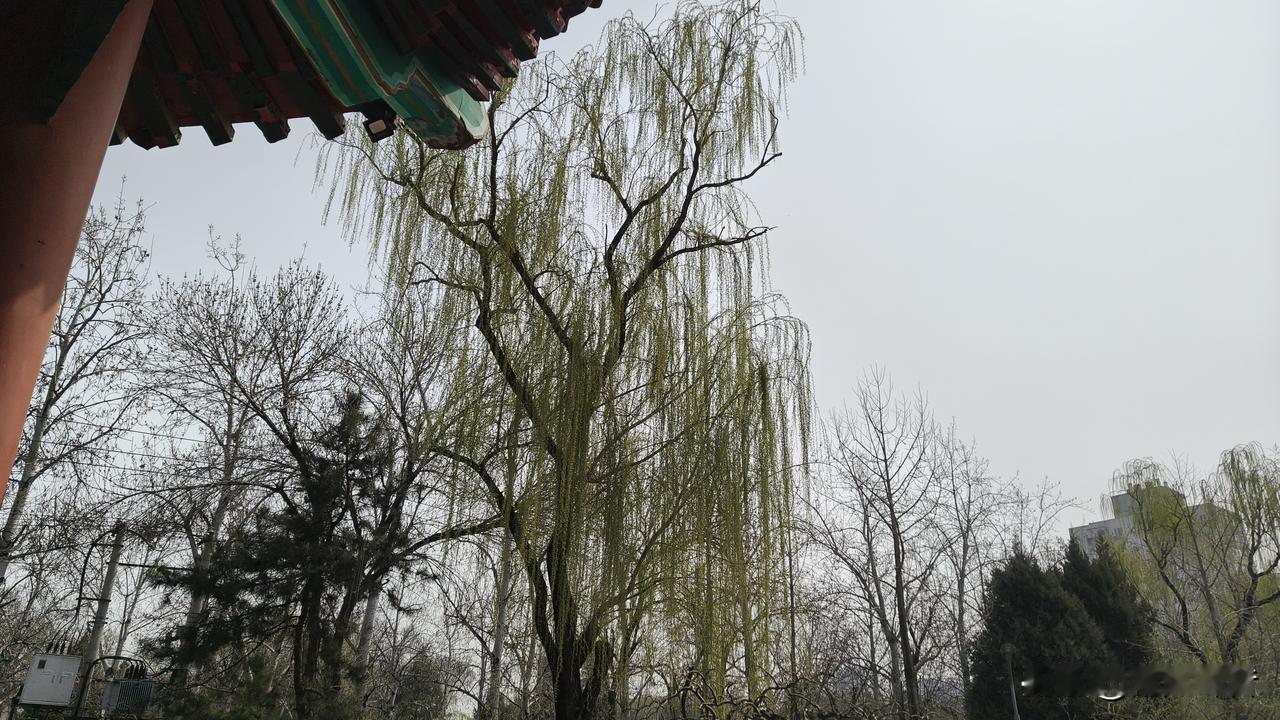 人群中，有城府的人，或多或少都有这十个特点:

1、	为人处世低调、内敛，平时话