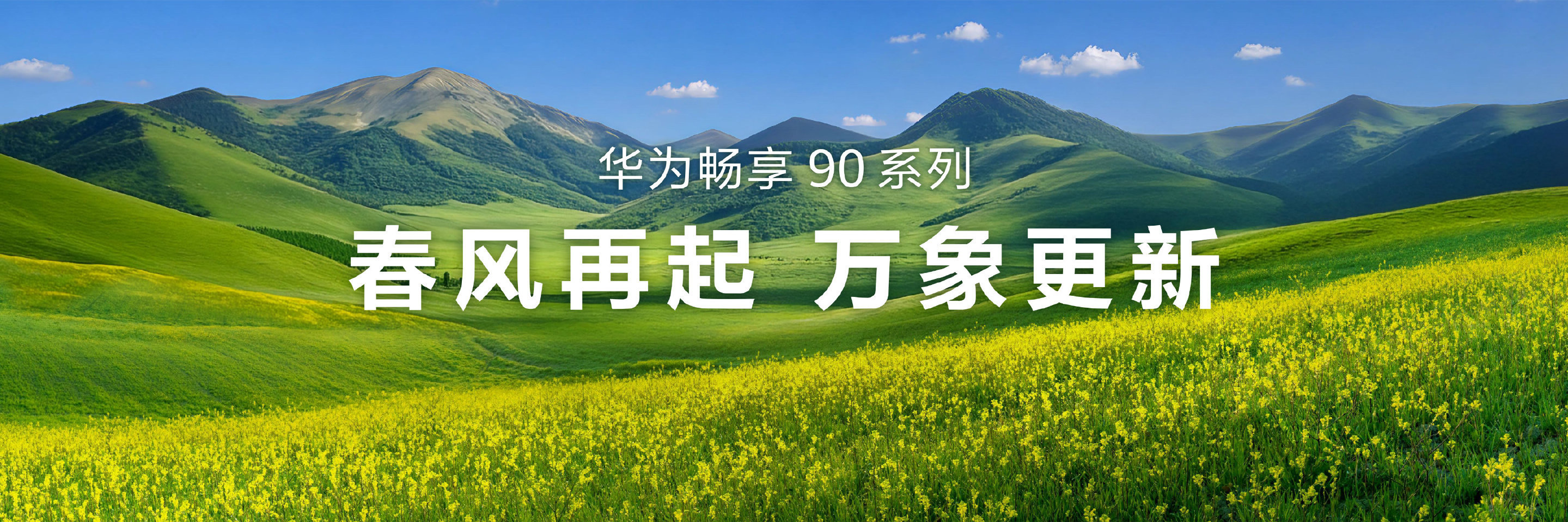 华为手机已全面回归从顶级旗舰Mate和Pura系列到入门机型畅享系列，再加上华为