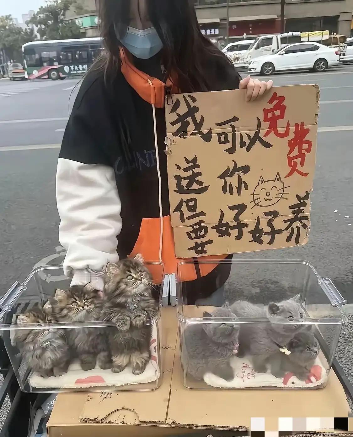 这是什么门道？？？