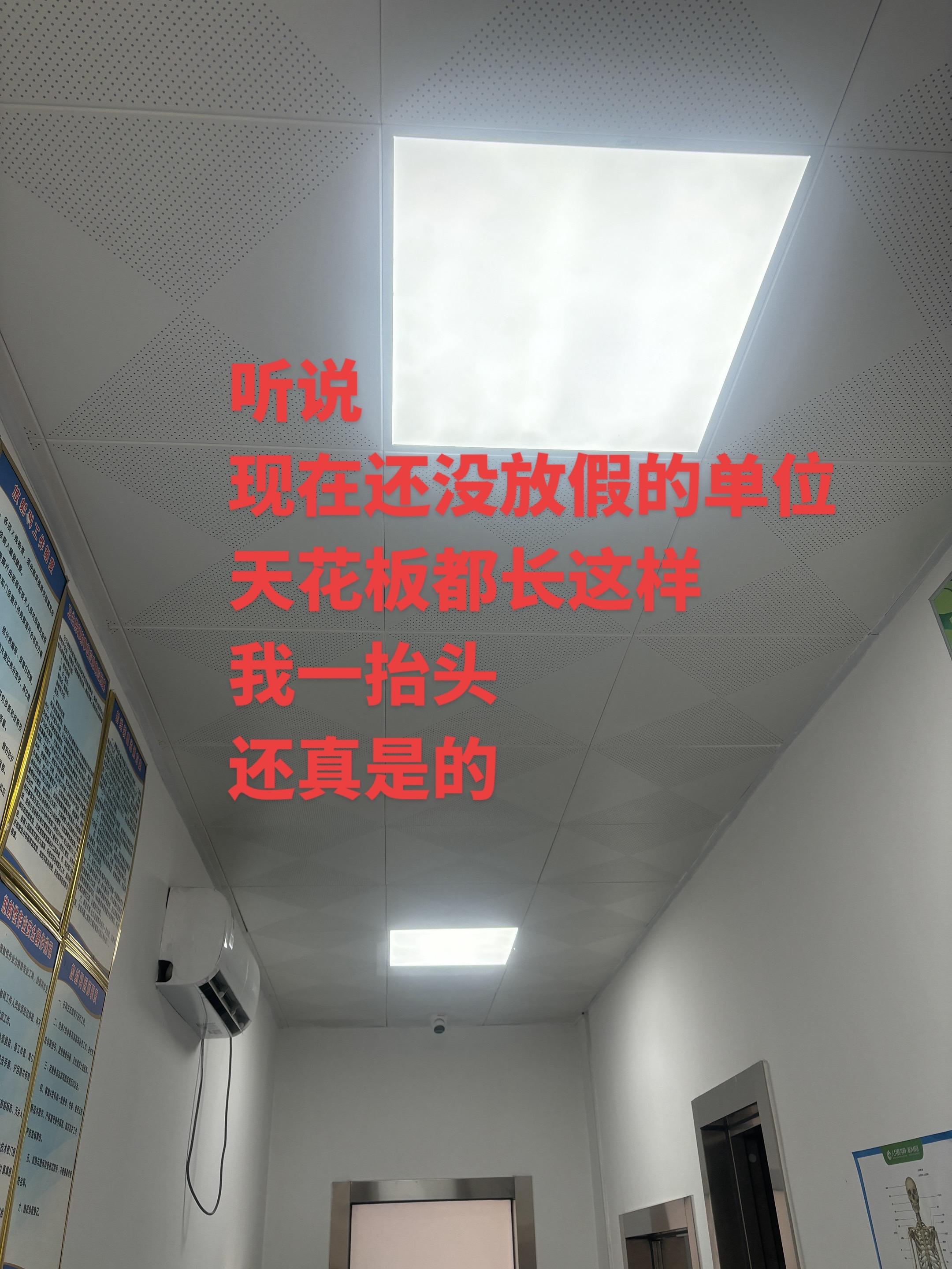 医学生放射科医生的日常 放射科医学影像