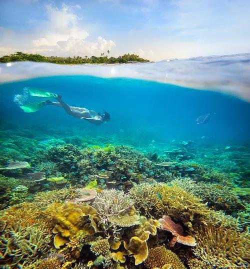 3月23日外交部的例行记者会上，外国记者不怀好意地就越南官方有关西沙群岛言论提问