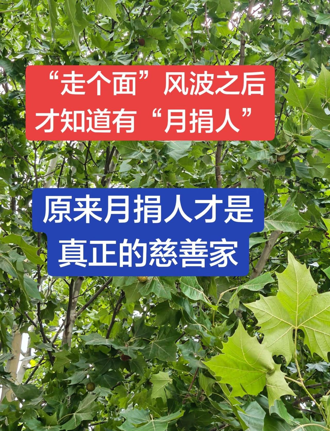 月捐人才是慈善家。真实生活分享计划这…..这两天才知道“月捐人”，他们才是真实的