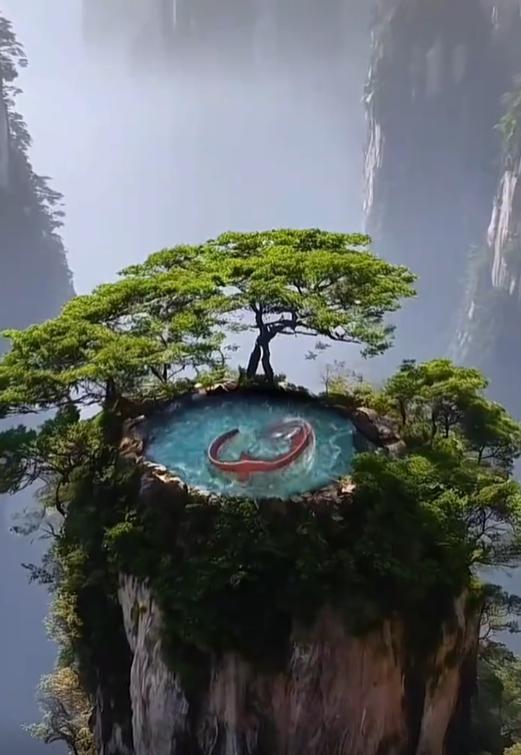 你的平静就是最好的回应

人在生气时
身体会默默承受伤害
别用情绪惩罚自己
也别