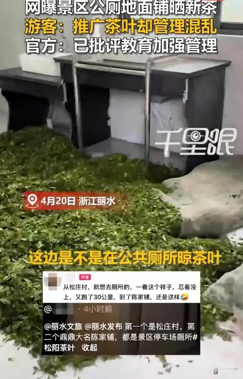 离谱！景区公厕铺满茶叶晾晒，入口食材如此敷衍，当地茶口碑岌岌可危
 
旅游途中内