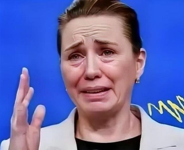 丹麦政府痛恨中国，丹麦的外交大臣拉斯穆森表示，过去不允许中国对格陵兰岛投资，现在