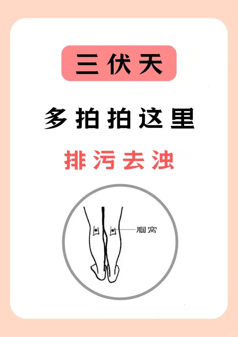 【三伏拍这！湿气浊气全赶跑，浑身轻！】




三伏天是一年中阳气最盛的时候，也