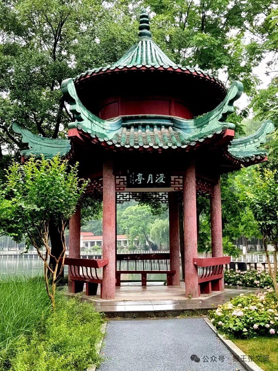 奋进江城共筑新篇武汉这张“奋进卷”，写满了温暖与惊喜。地铁12号线通到小区门口，