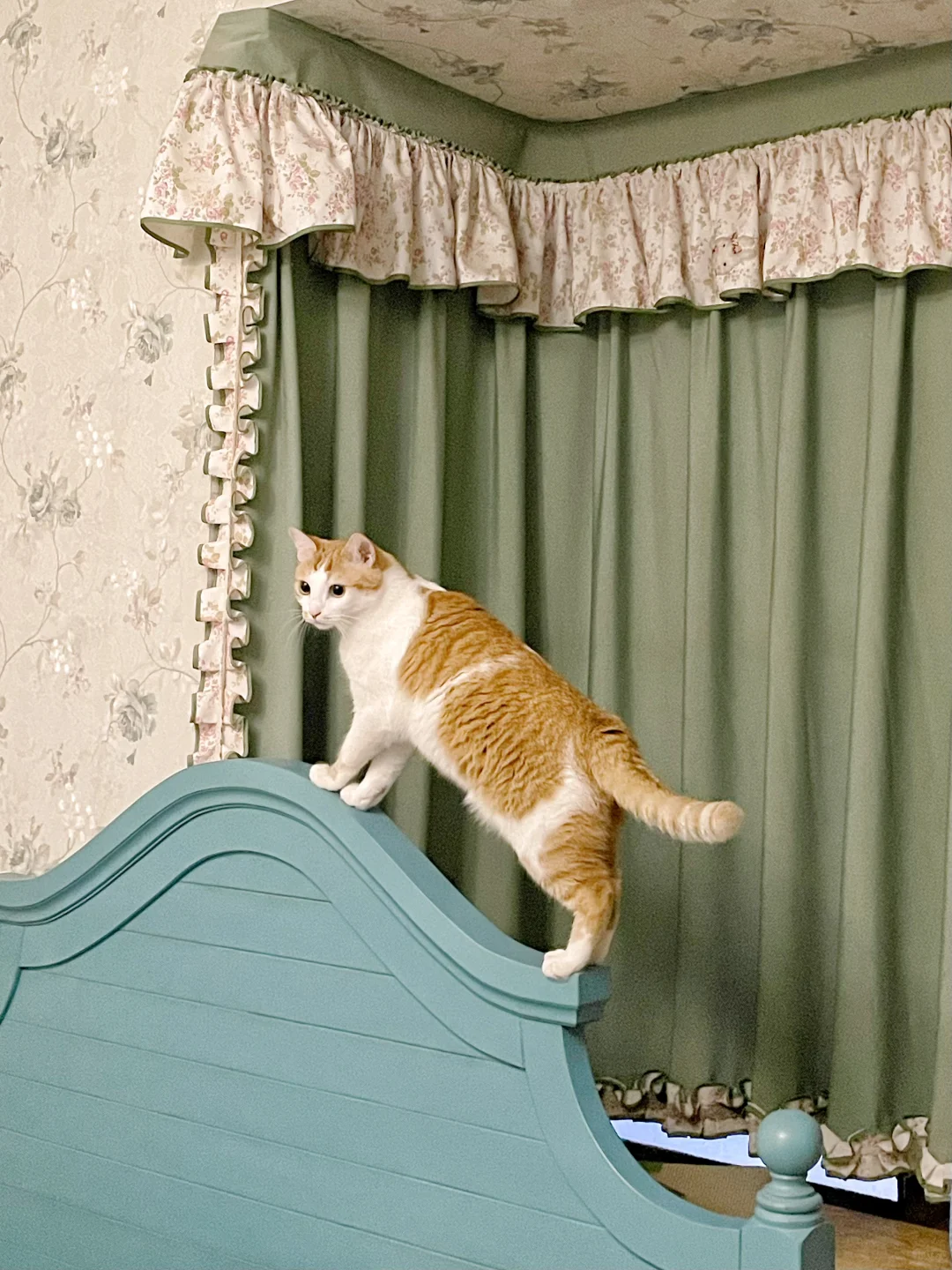 上房揭瓦